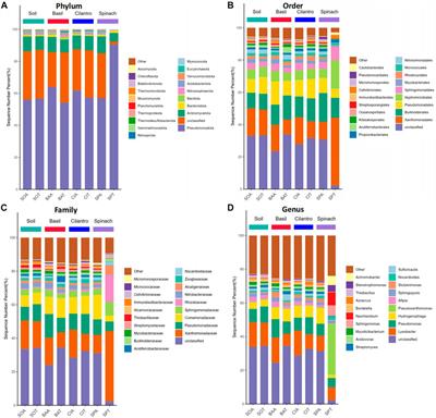 Impacts of sulfamethoxazole stress on vegetable growth and rhizosphere bacteria and the corresponding mitigation mechanism